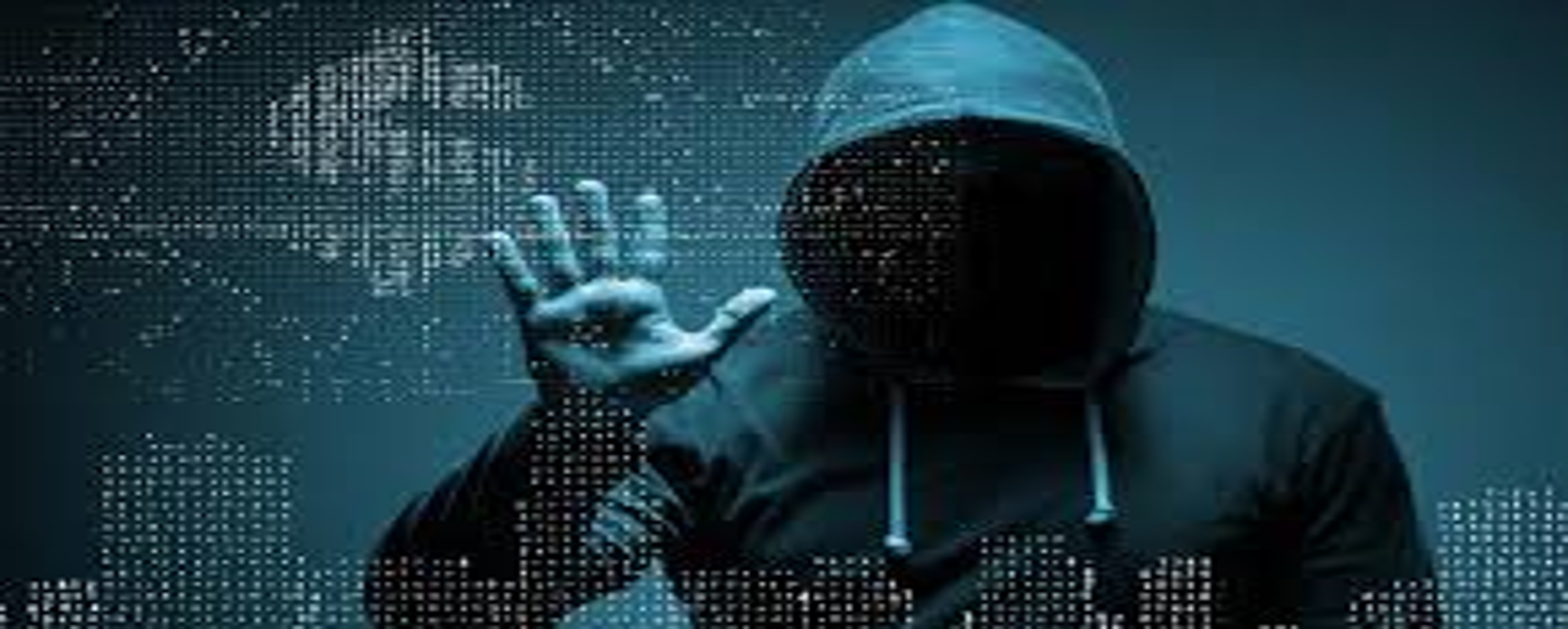cyber crime